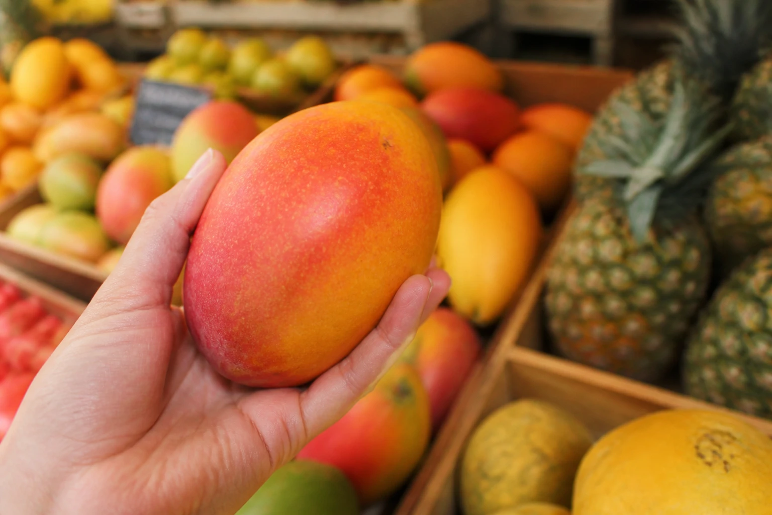 Main tenant une mangue mûre au-dessus d'un étal de marché avec d'autres fruits en arrière-plan